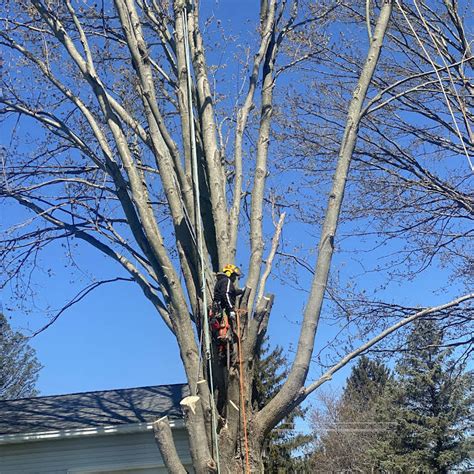 mid state lawn and tree service oswego ny